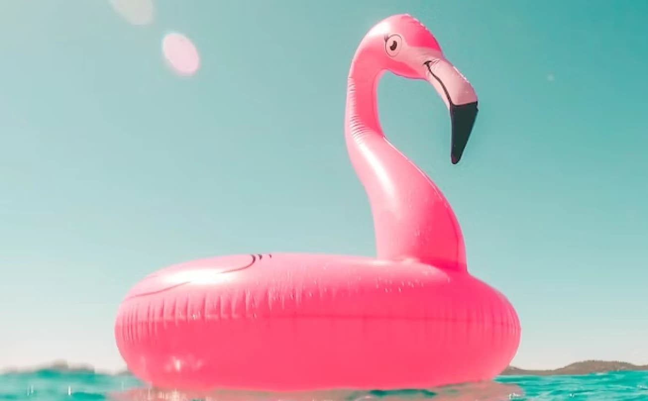 flamingo floating